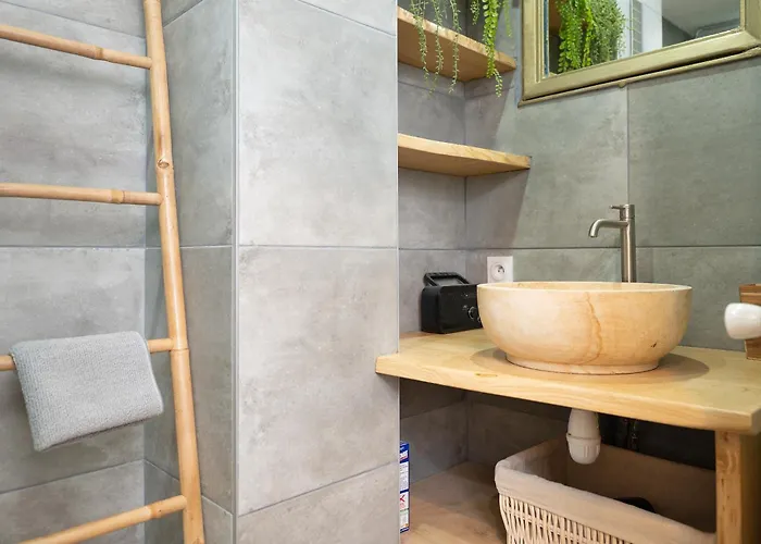 Appartement Grand T2 Avec Clim - Saint Michel